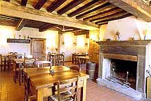 SalaconCamino.jpg (19339 byte)